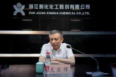 省税务局党委书记、副局长龙岳辉莅临公司调研